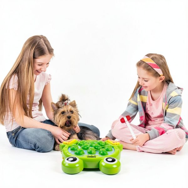 Whack-A-Frog Interactive Toy by Guang Dong Wu Xing Wan - 38 Levels-4